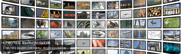 Slideshow Image 7